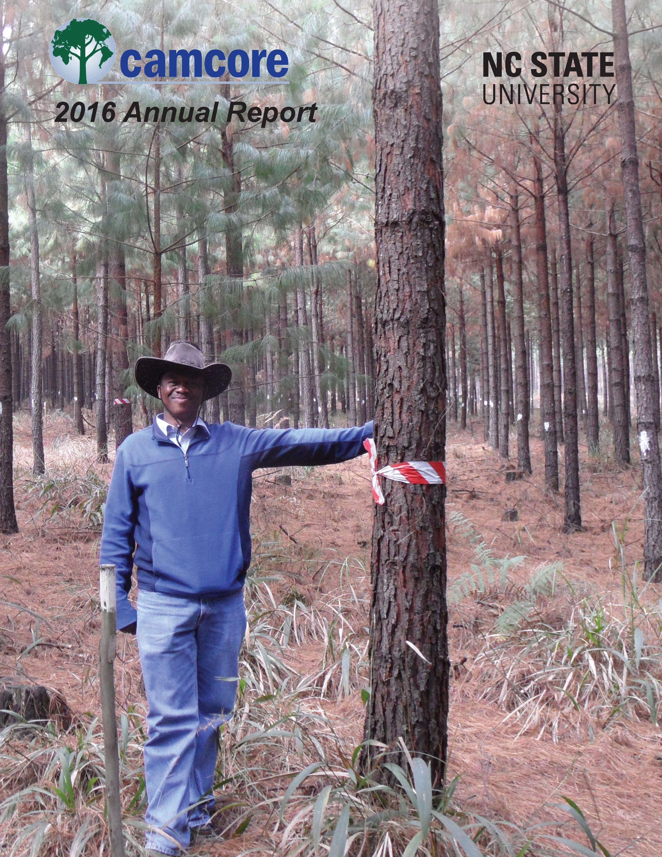 Annual Report 2016