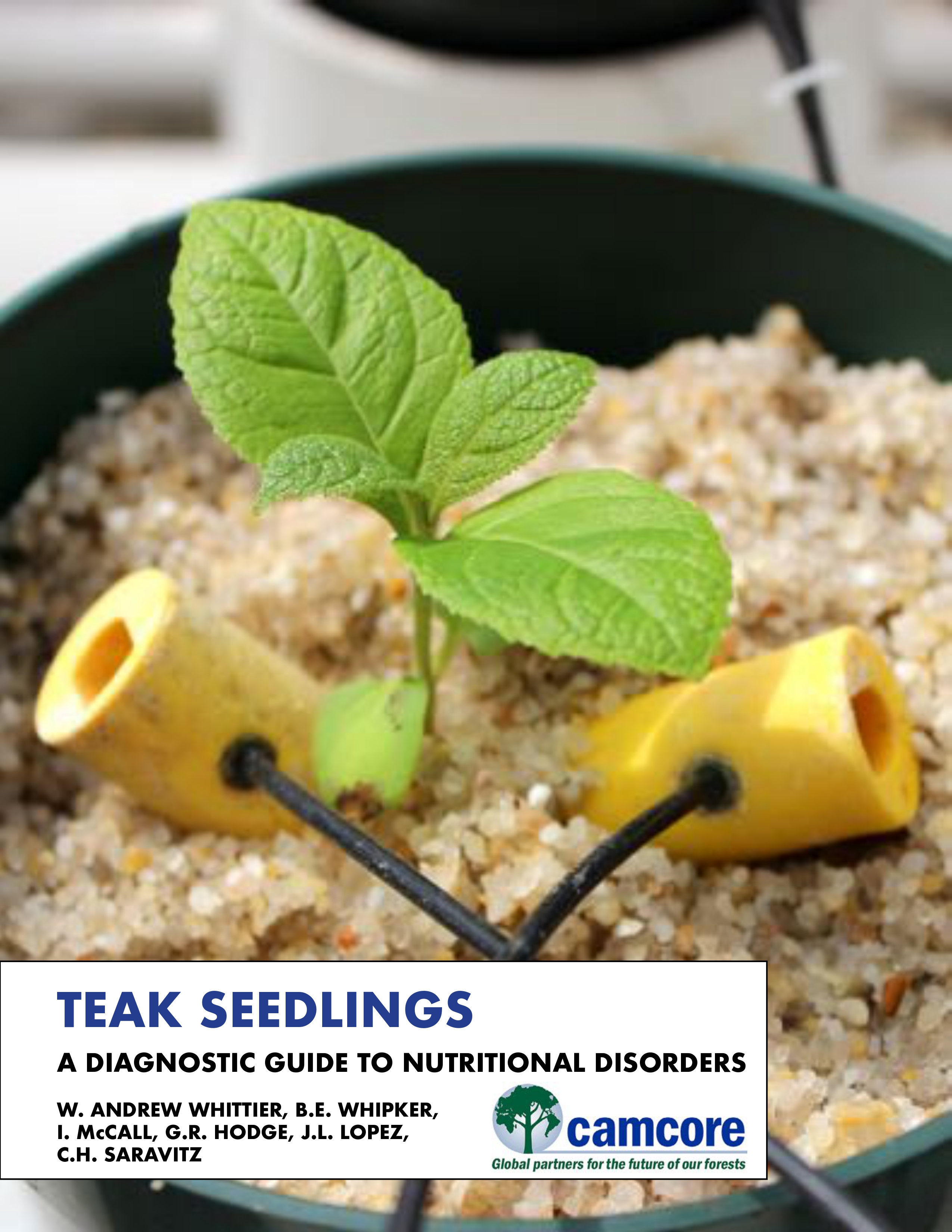 Teak Seedlings - A Diagnostic guide to Nutritional Disorders