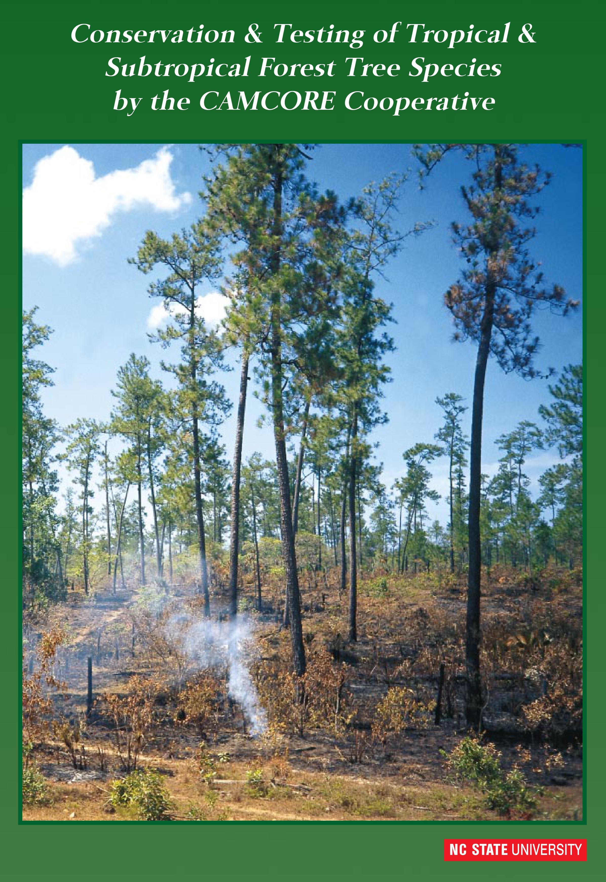 Conservation & Testing of Tropical & Subtropical Forest Tree Species